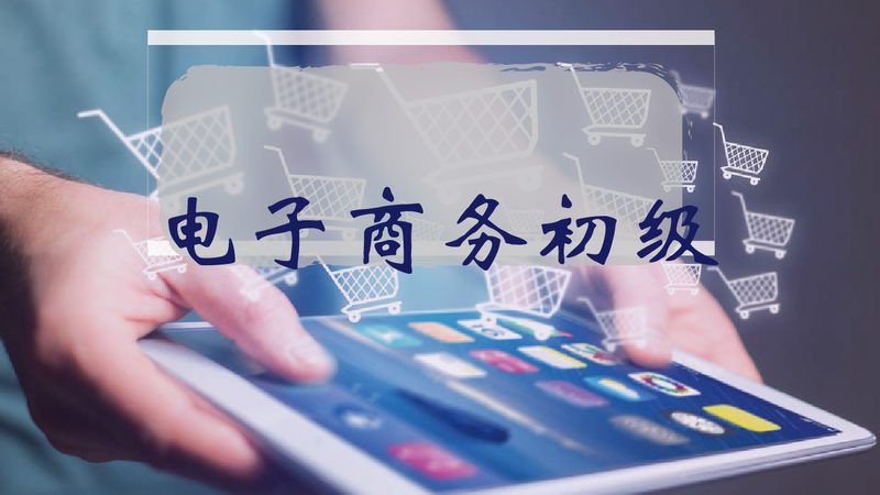 跨境电商平台批发货源：揭秘选品与供应链的奥秘