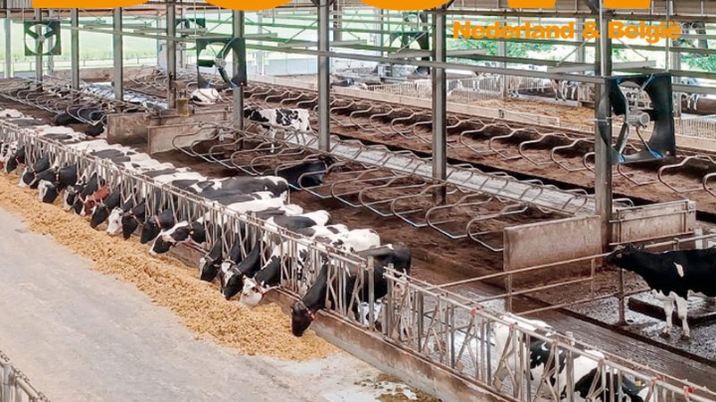 店铺标题关键词优化：提升流量，精准触达