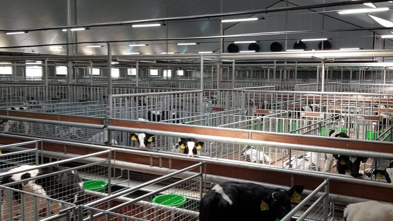 新手如何通过数据判断电商产品生命周期